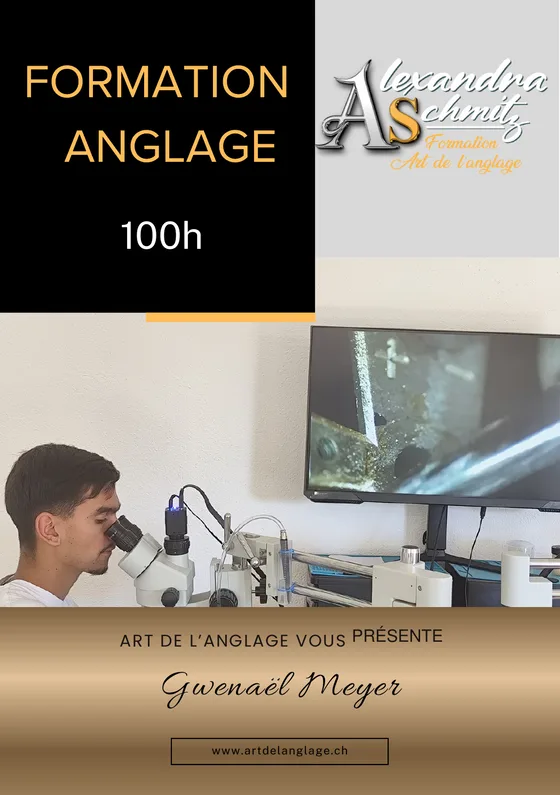Couverture du portfolio de formation de Gwenaël Meyer